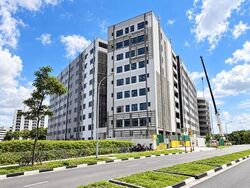 Tampines Connection (D18), Factory #637665551